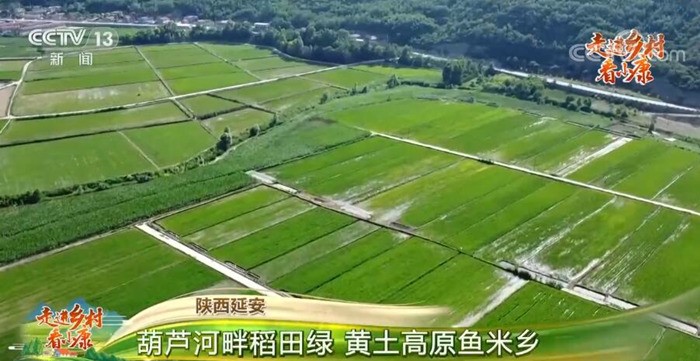 “Xiaokang”: o sucesso da China socialista na melhoria da qualidade de vida das regi?es rurais