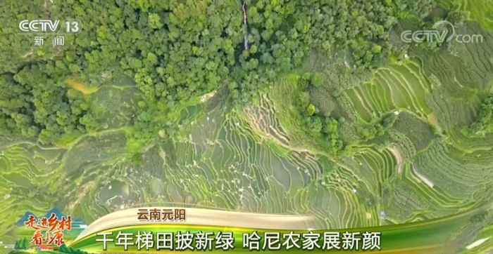 “Xiaokang”: o sucesso da China socialista na melhoria da qualidade de vida das regi?es rurais