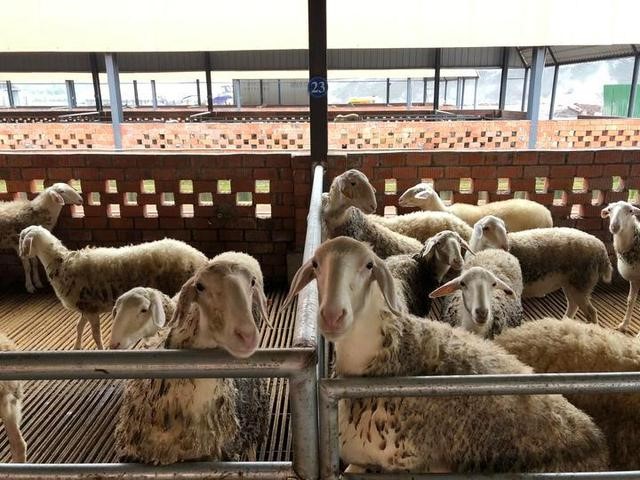 Guizhou: diversidade econ?mica melhora qualidade de vida das popula??es