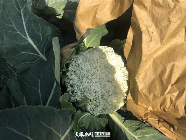 Guizhou: diversidade econ?mica melhora qualidade de vida das popula??es