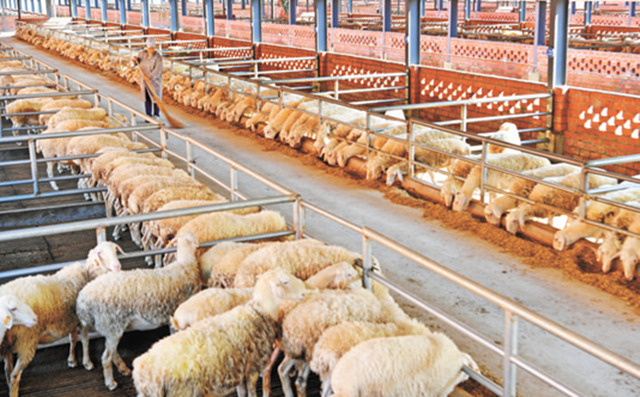 Guizhou: diversidade econ?mica melhora qualidade de vida das popula??es