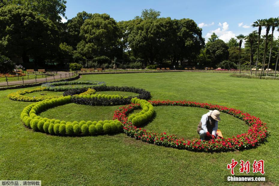 Galeria: elementos olímpicos em Tóquio