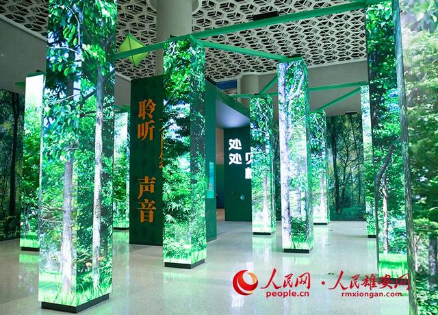 Novo parque na Nova área de Xiongan é aberto ao público