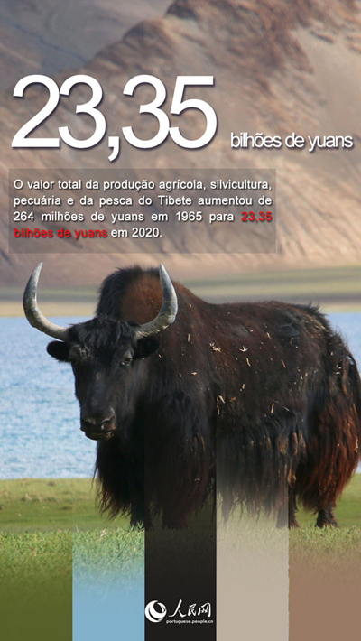 Tibete: retrospetiva de 70 anos após a liberta??o pacífica