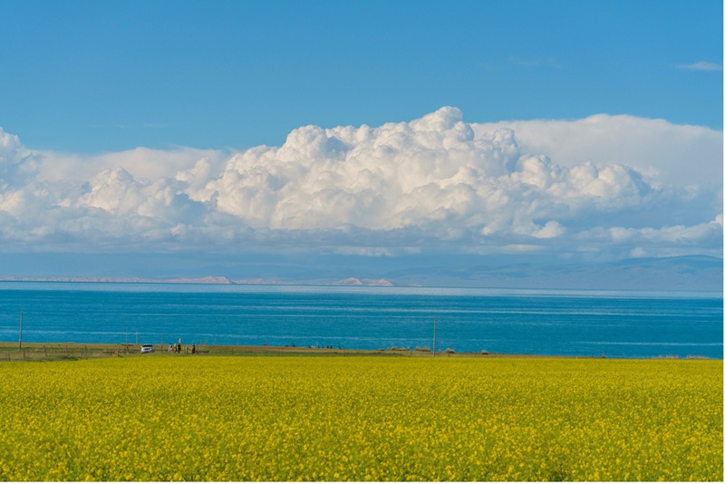 Paisagens idílicas ao longo do Lago Qinghai