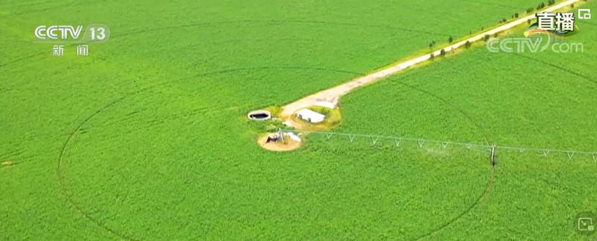 Xiaokang: deserto de Shaanxi transforma-se em terra fértil 