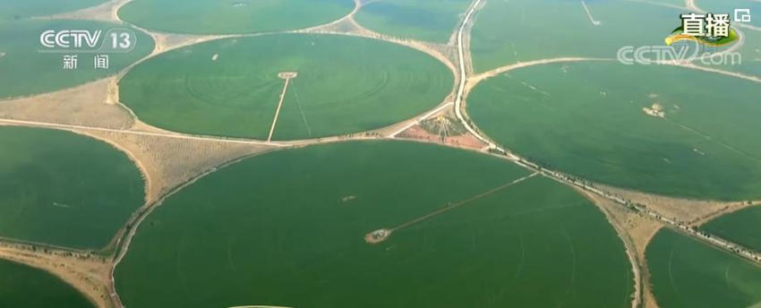 Xiaokang: deserto de Shaanxi transforma-se em terra fértil 