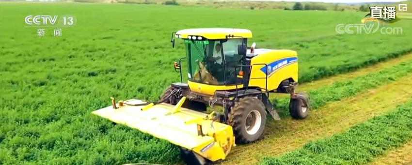 Xiaokang: deserto de Shaanxi transforma-se em terra fértil 