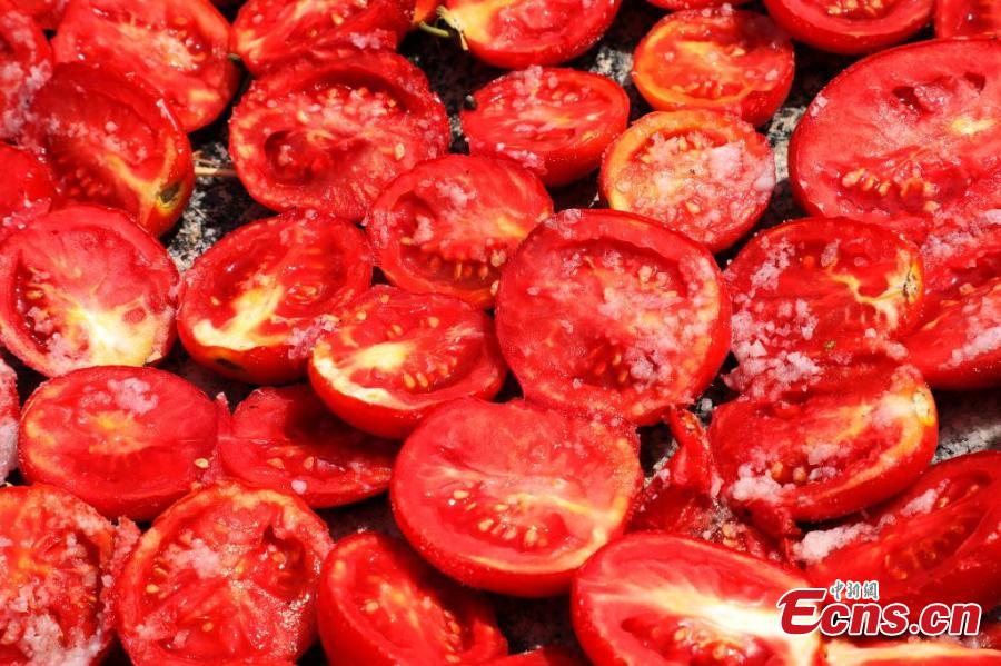 Galeria: Temporada de colheita de tomate em Xinjiang