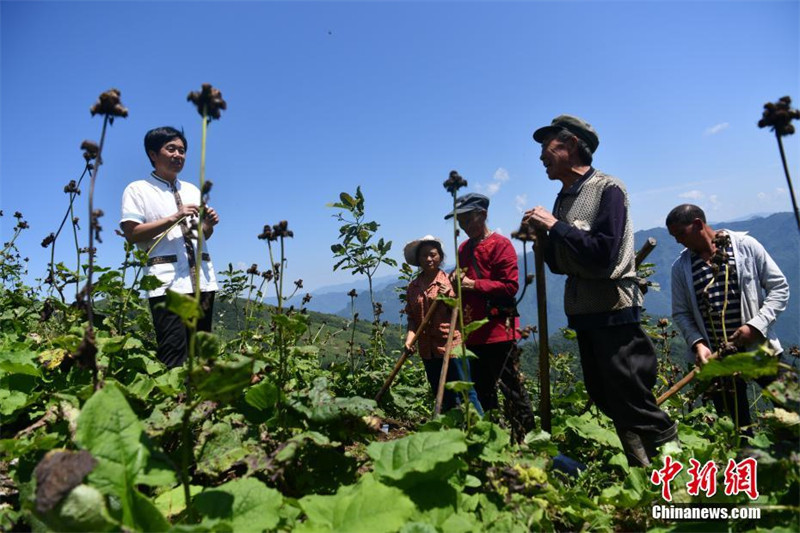 Sichuan: Grand Canyon Bashan com novo anel interno de 50 km