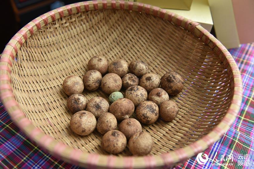 Yunnan: planta em vias de extin??o vira fonte de rendimento da regi?o