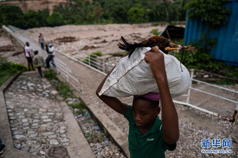 Número de mortos do terramoto no Haiti sobe para mais de 1900