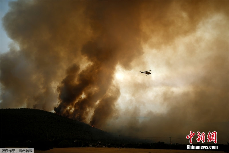 Grécia: incêndios florestais atingem noroeste de Atenas