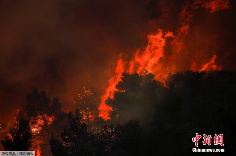 Grécia: incêndios florestais atingem noroeste de Atenas