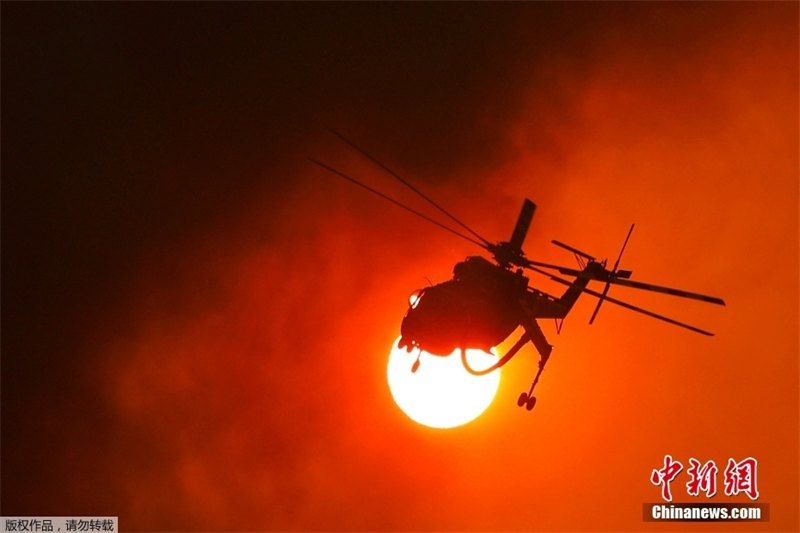 Grécia: incêndios florestais atingem noroeste de Atenas