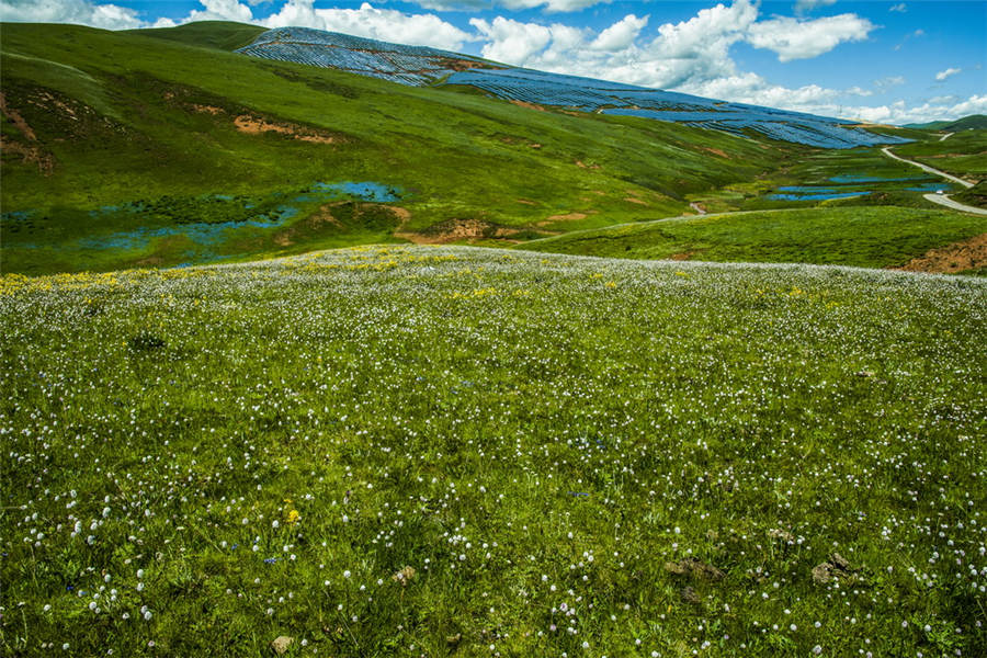 Galeria: mudan?as no dia-a-dia da popula??o do Tibete