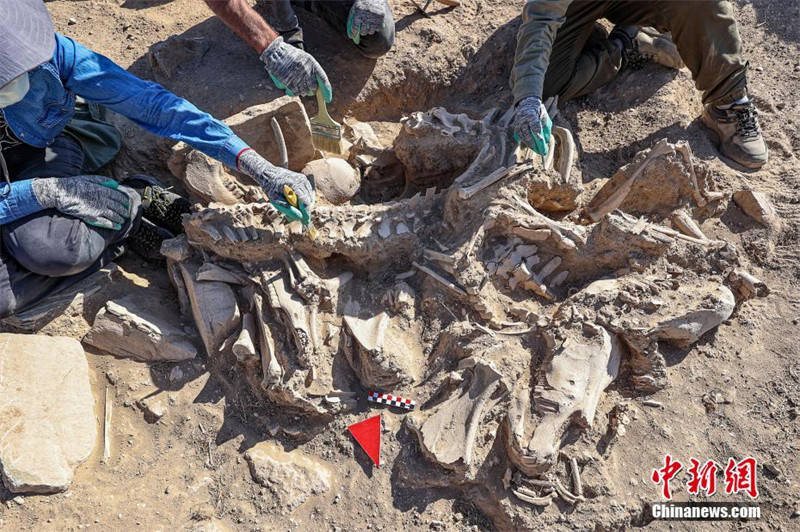 Arqueólogos turcos descobrem túmulo do antigo reino de Urartu