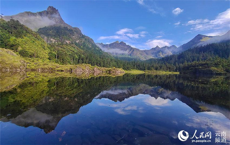 Conferência de Biodiversidade da ONU (COP 15)