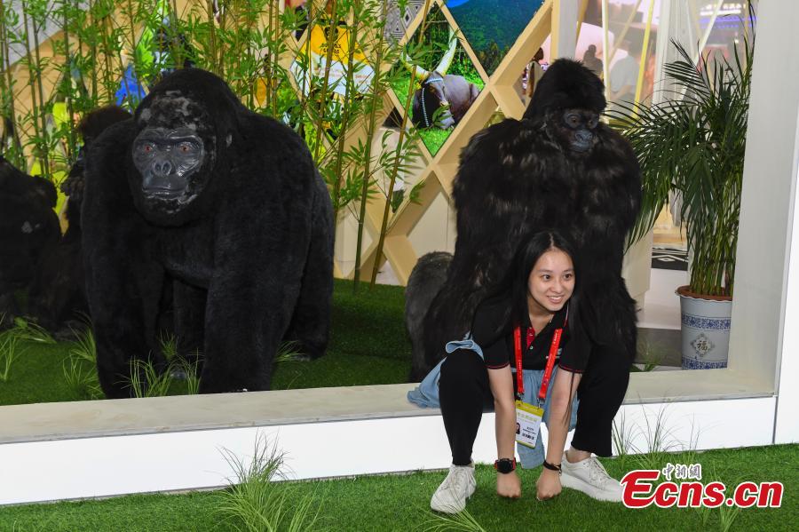 Galeria: destaques da segunda Exposi??o Econ?mica e Comercial China-áfrica