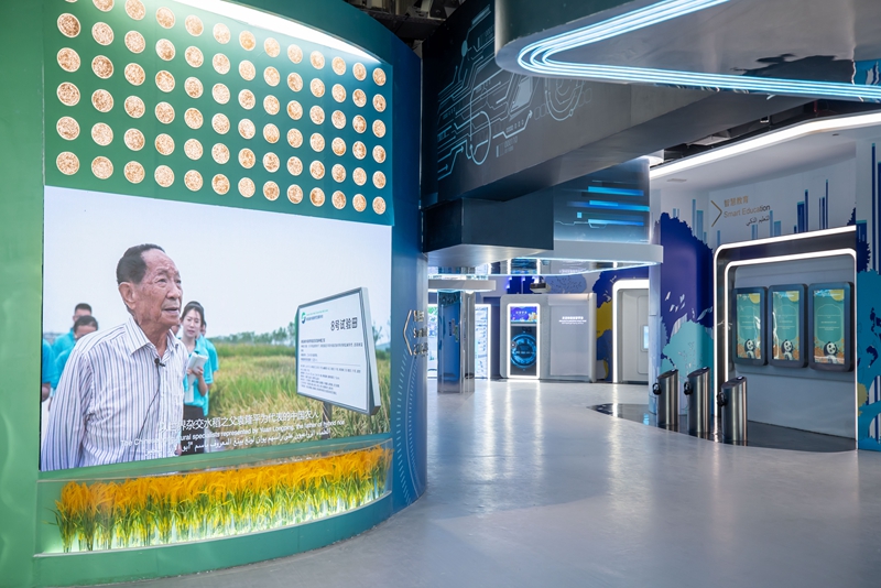 Galeria: Pavilh?o da China na Expo 2020 Dubai