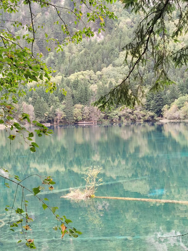 Jiuzhaigou reabre totalmente após terremoto de 2017