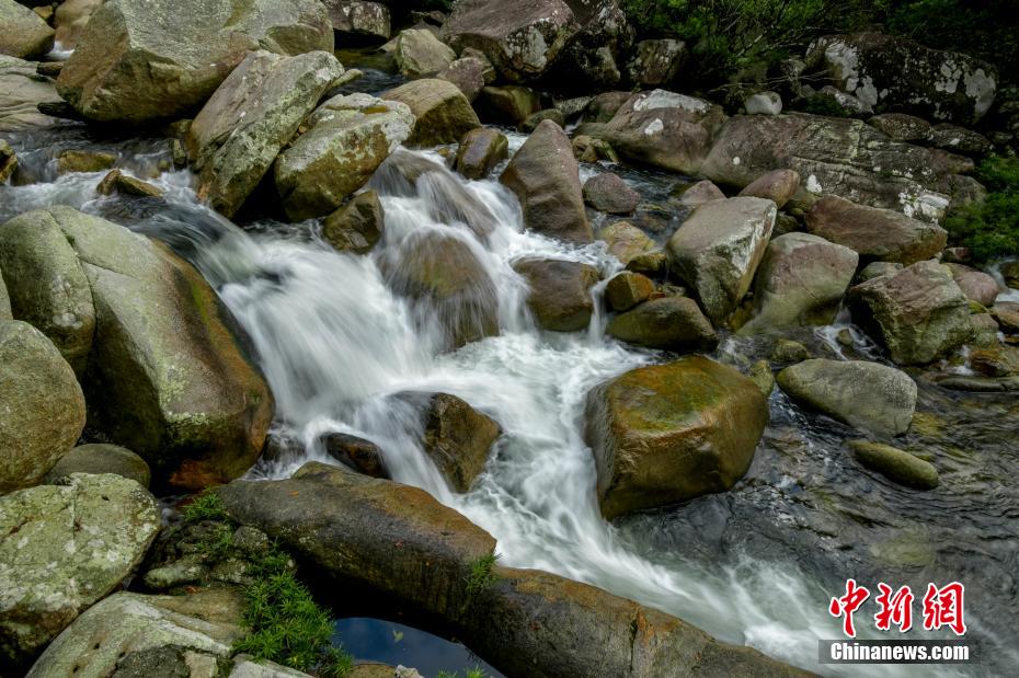 Galeria: zona piloto do Parque Nacional de Floresta Tropical de Hainan