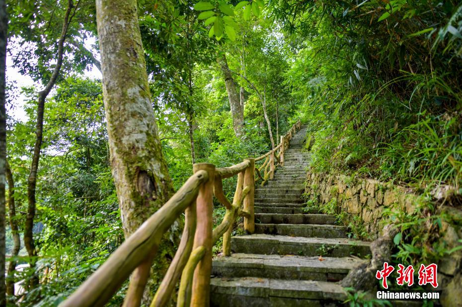 Galeria: zona piloto do Parque Nacional de Floresta Tropical de Hainan