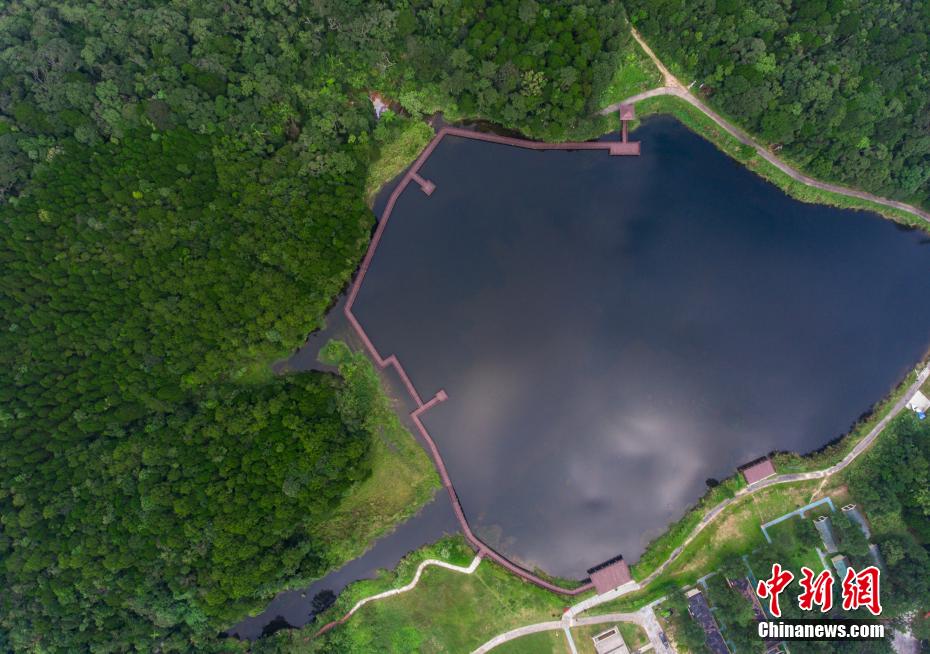 Galeria: zona piloto do Parque Nacional de Floresta Tropical de Hainan