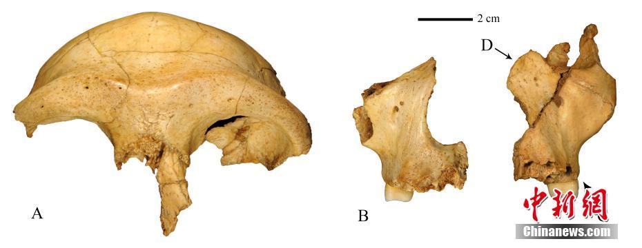 Cientistas confirmam que estágio de evolu??o do homo sapiens na ásia há 300.000 anos equivale ao atual