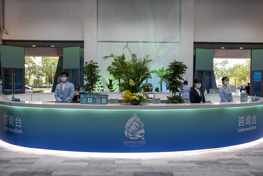 COP15 está pronta para ser inaugurada em Kunming