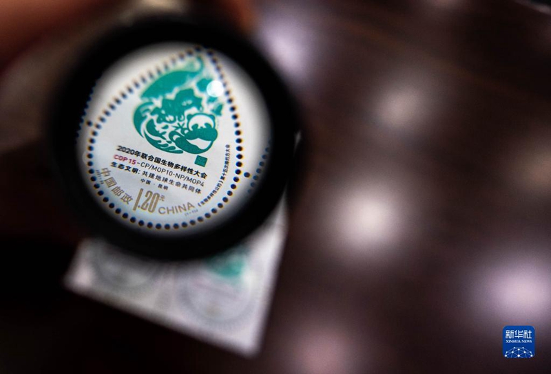 China emite selos comemorativos da COP15