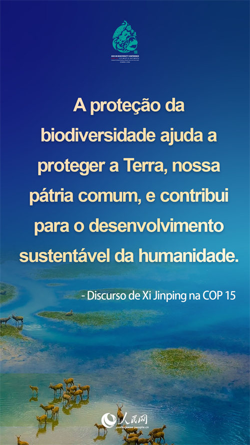 Infográfico: destaques do discurso de Xi Jinping na COP15