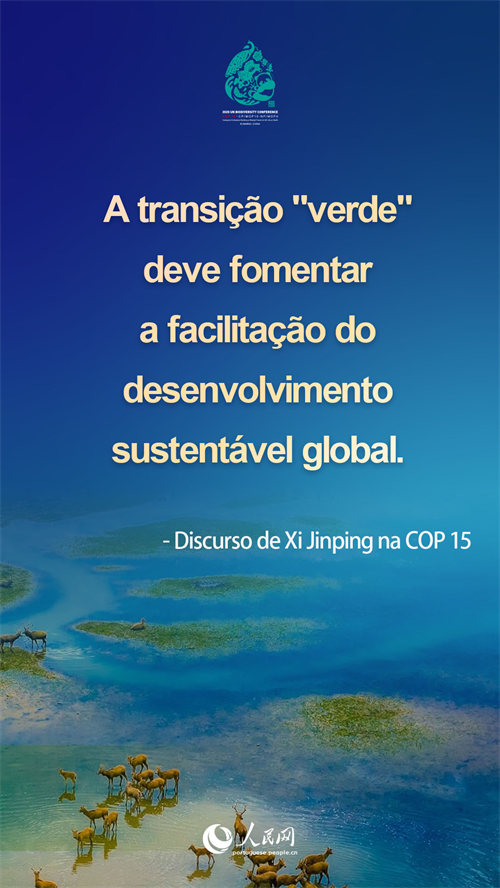 Infográfico: destaques do discurso de Xi Jinping na COP15