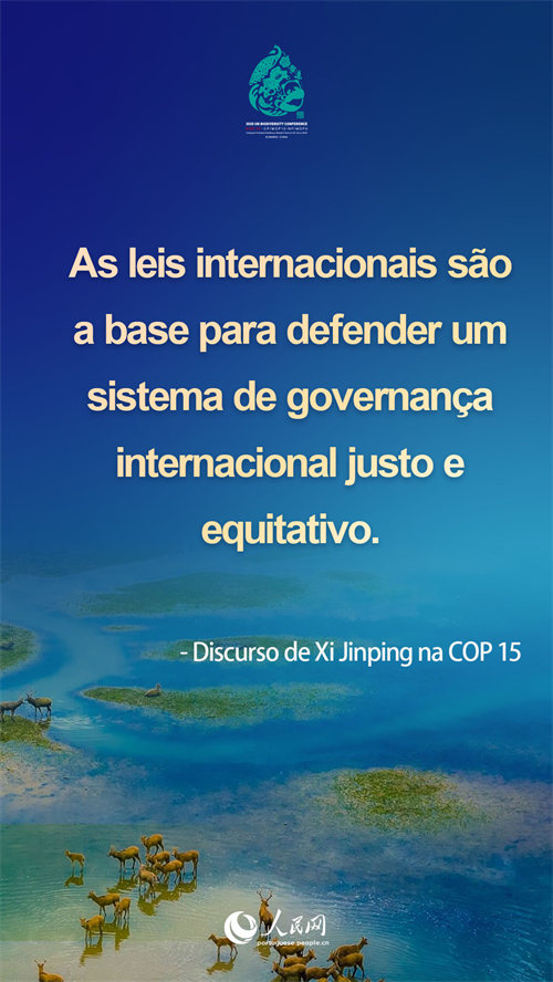 Infográfico: destaques do discurso de Xi Jinping na COP15
