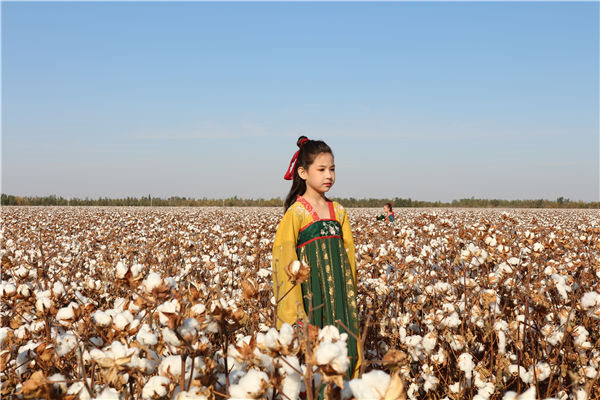 China: desfile de moda é realizado nos campos de algod?o de Xinjiang