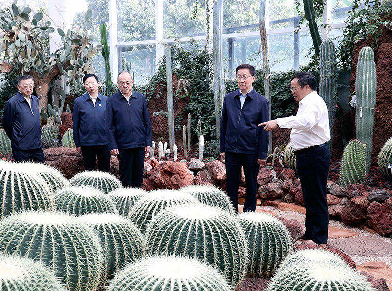 Vice-premiê chinês Han Zheng pede desenvolvimento verde e civiliza??o ecológica