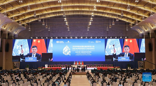 COP15 adota declara??o para promover compromissos ecológicos