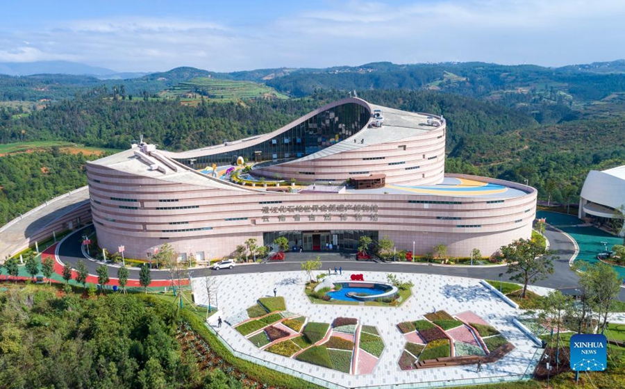 Galeria: Museu Arqueológico de Chengjiang, Yunnan