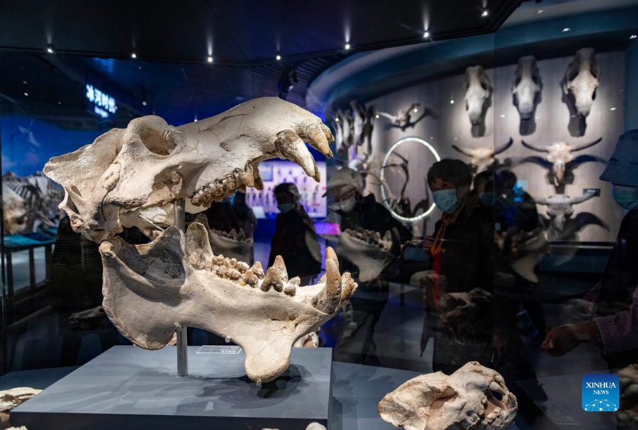 Galeria: Museu Arqueológico de Chengjiang, Yunnan