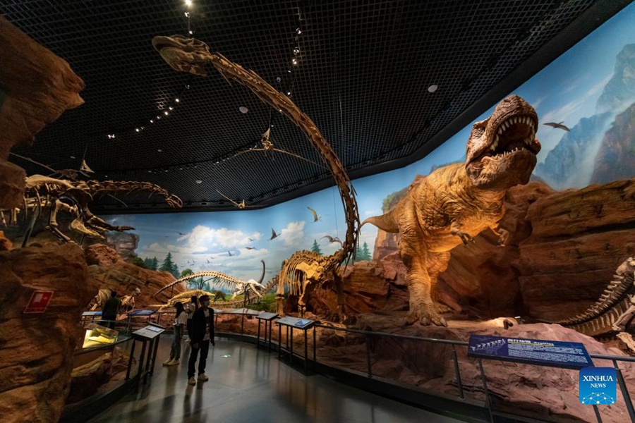 Galeria: Museu Arqueológico de Chengjiang, Yunnan