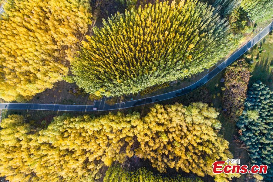 Lushuiwan: paisagem outonal de área cénica no noroeste da China