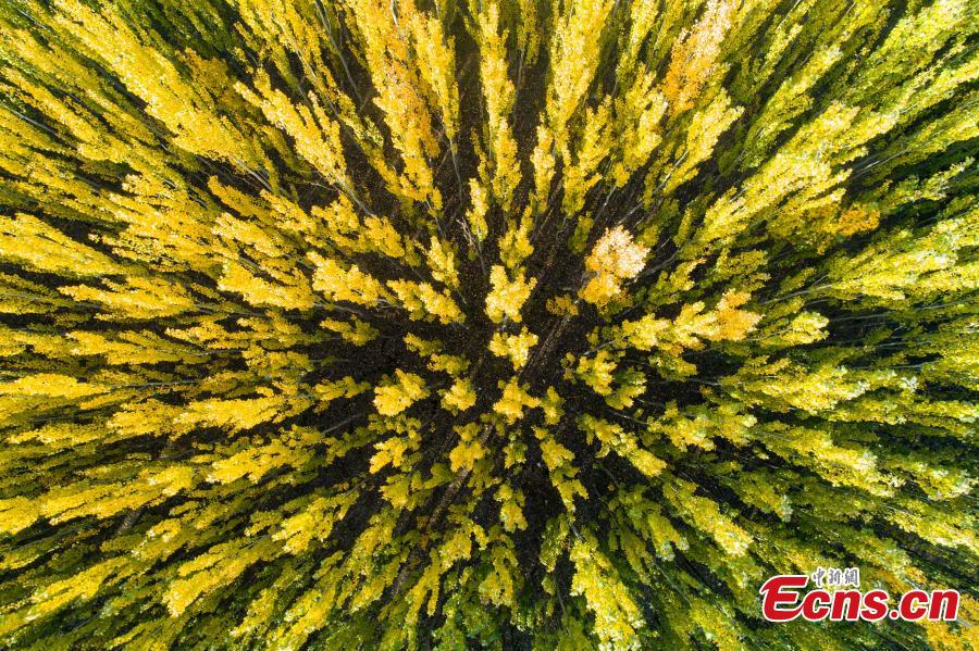 Lushuiwan: paisagem outonal de área cénica no noroeste da China