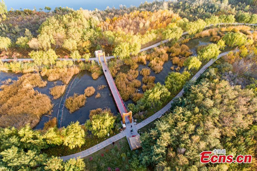 Lushuiwan: paisagem outonal de área cénica no noroeste da China