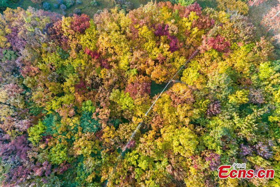 Lushuiwan: paisagem outonal de área cénica no noroeste da China
