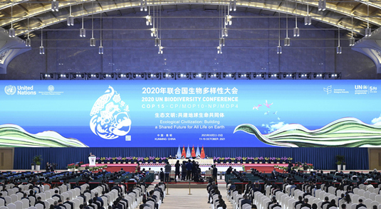 Encerrada primeira parte da COP15, estabelecendo bases para o quadro de biodiversidade pós-2020