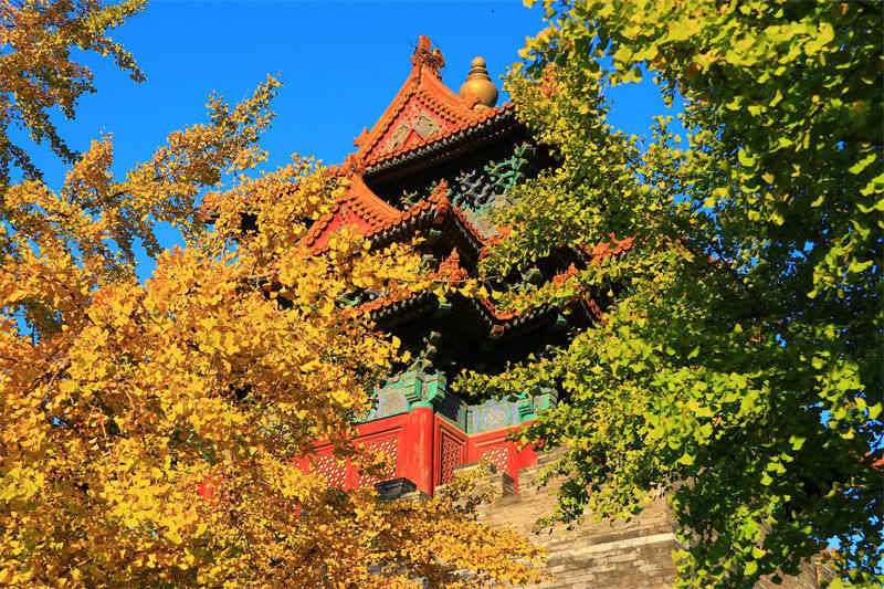 Beijing: bela paisagem da Cidade Proibida no outono 