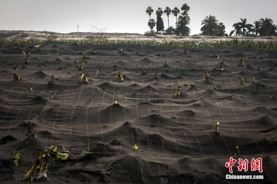 Espanha: erup??o do vulc?o Cumbre Vieja deixa ilha de La Palma irreconhecível  
