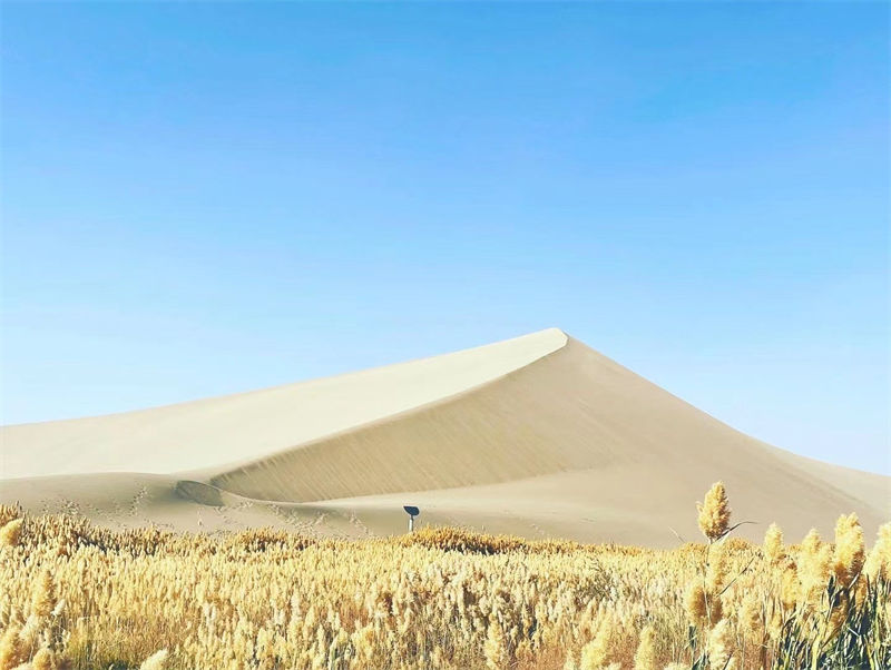 Galeria: cenário desértico da montanha Mingshashan e lago Crescente em Dunhuang 