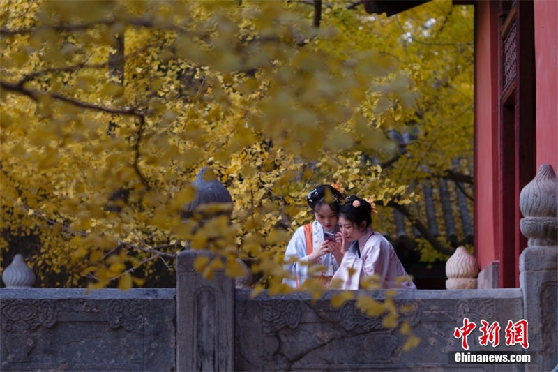 Galeria: paisagem de outono em Beijing