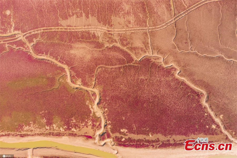 Galeria: contornos outonais pintam paisagem natural de Shandong
